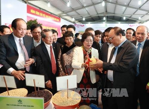 PM vows to introduce clean farm produce to the world  - ảnh 1